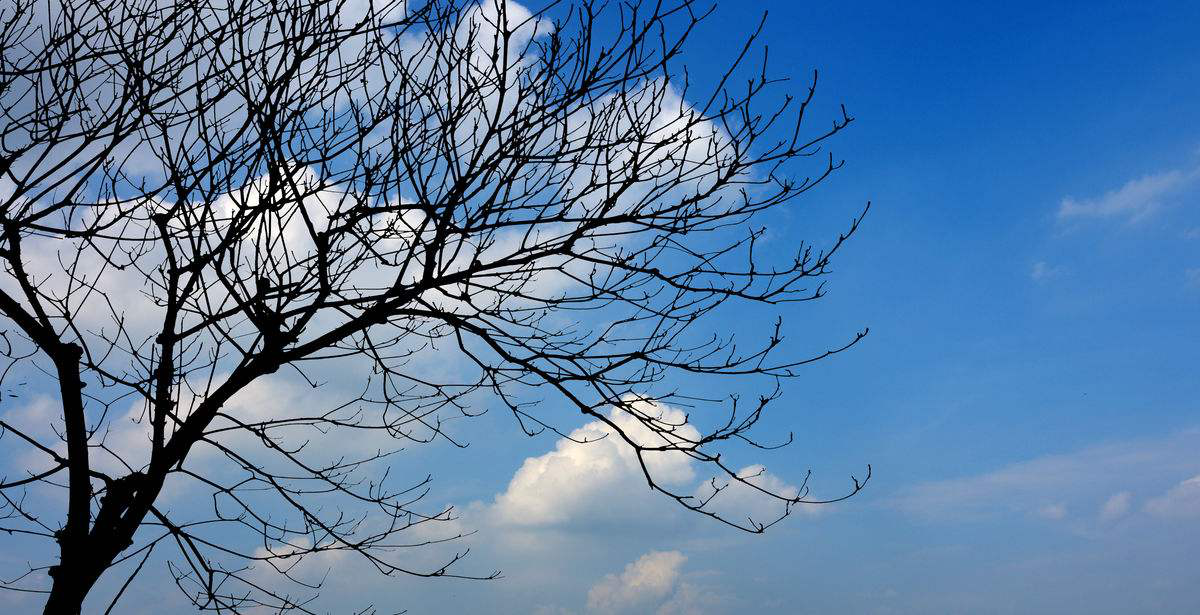 柴油发电机组企业-南宫集团电源-冬建